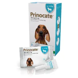 Prinocate Spot-on-Solution Medium Dog 100/25mg (4 – 10kg) Pack of 3