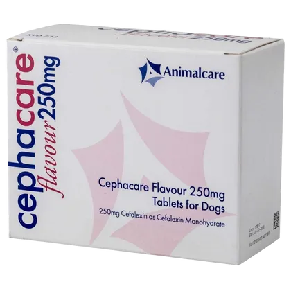 Cephacare Flavour Tablet 250mg