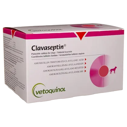 Clavaseptin Tablet 250mg