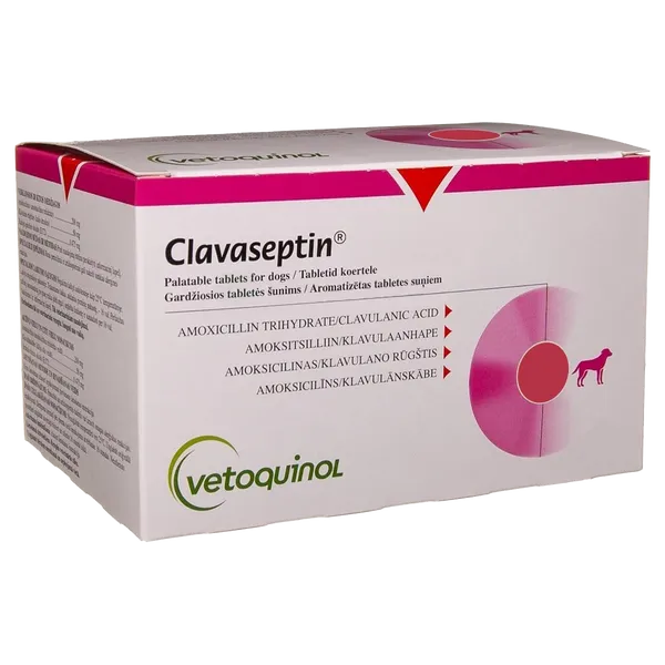 Clavaseptin Tablet 250mg