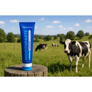 MooGoo Natural Formula Fluoride Free Toothpaste 100ml