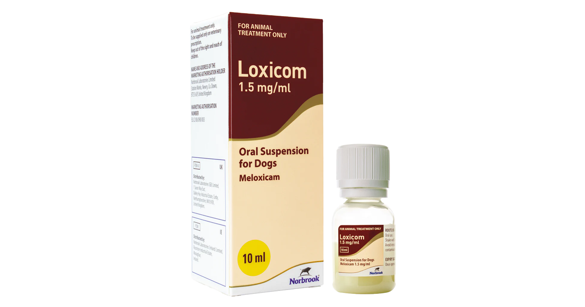 Buy Loxicom Oral Suspension 10ml for Dogs Weldricks