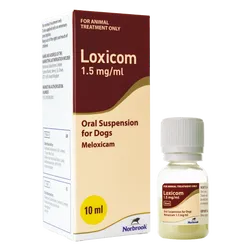 Loxicom Oral Suspension for Dogs 1.5mg/ml 10ml