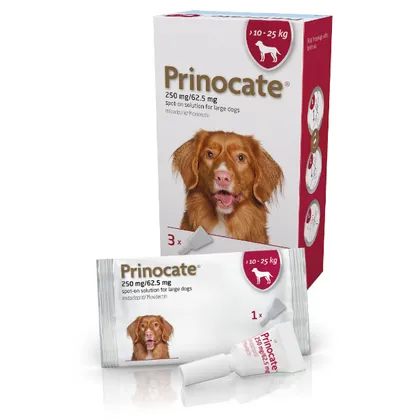 Prinocate Spot-on-Solution Large Dog 250/62.5mg (10 – 25kg) Pack of 3