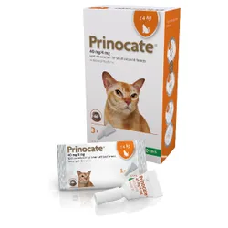 Prinocate Spot-on-Solution Small Cat & Ferrets 40/4mg (<4kg) Pack of 3