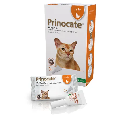 Prinocate Spot-on-Solution Small Cat & Ferrets 40/4mg (<4kg) Pack of 3