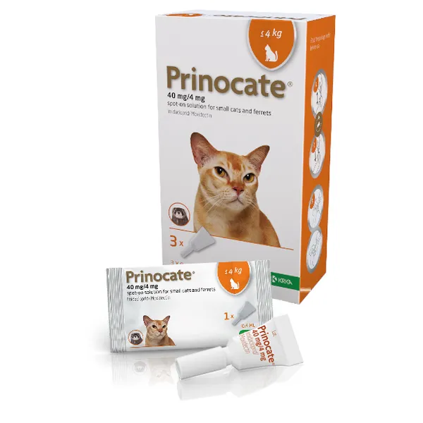 Prinocate Spot-on-Solution Small Cat & Ferrets 40/4mg (<4kg) Pack of 3