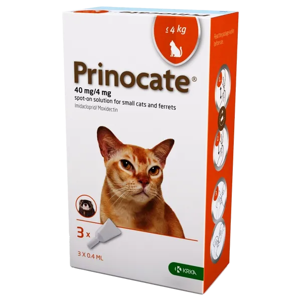 Prinocate Spot-on-Solution Small Cat 40/4mg (<4kg) Pack of 3
