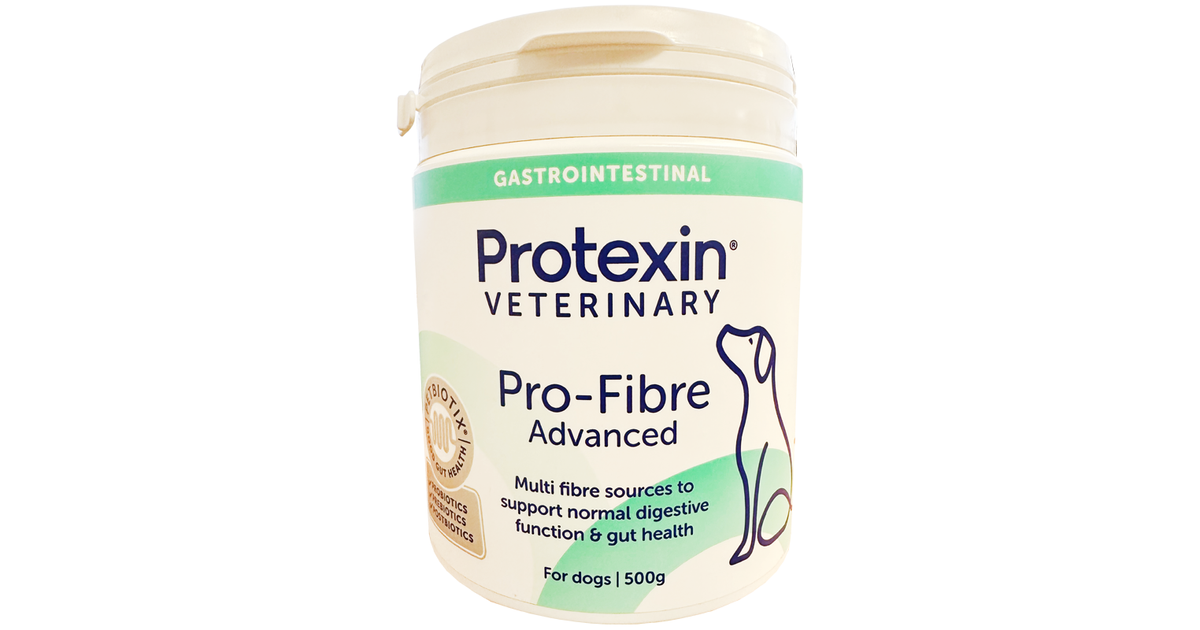 Pro fibre store for dogs