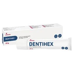 Dentihex Oral Paste 20g