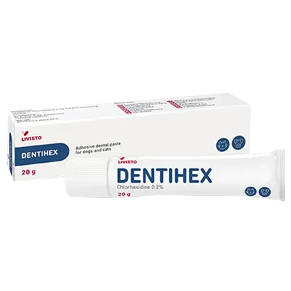 Dentihex Oral Paste 20g