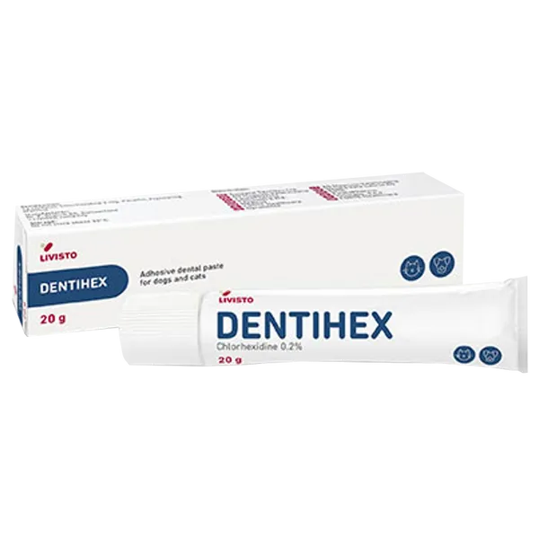 Dentihex Oral Paste 20g