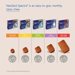 NexGard Spectra for Extra Large Dogs (30-60kg) - 3 Chewable Tablets
