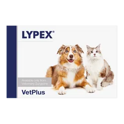 Lypex Pancreatic Enzyme Capsules for Dogs and Cats Pack of 60