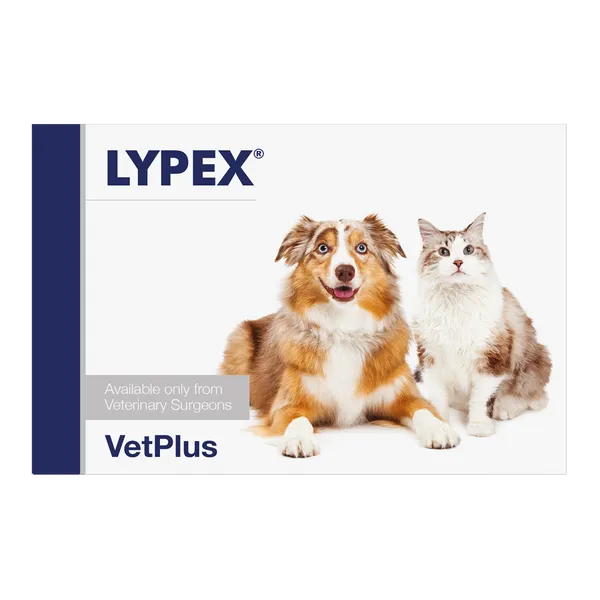 Lypex Pancreatic Enzyme Capsules for Dogs and Cats Pack of 60