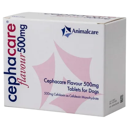 Cephacare Flavoured Tablet 500mg
