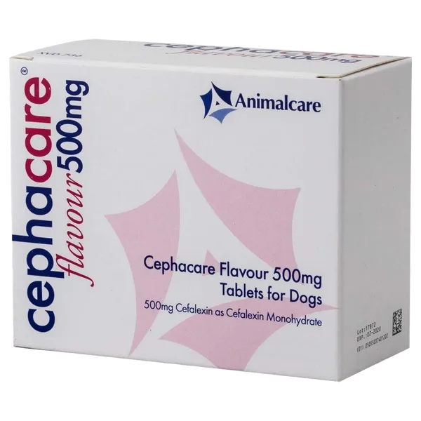 Cephacare Flavoured Tablet 500mg