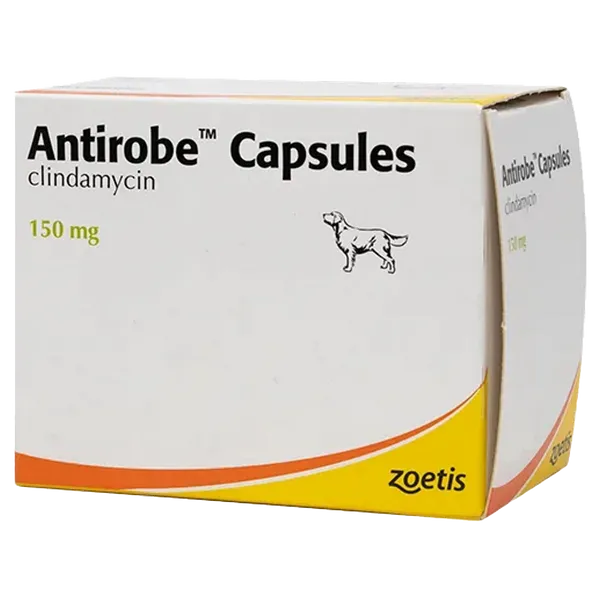 Antirobe Capsule 150mg