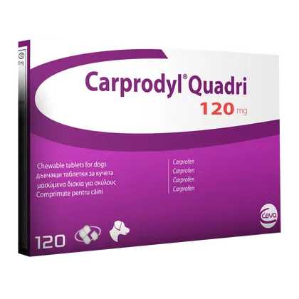 Carprodyl Quadri Tablet 120mg