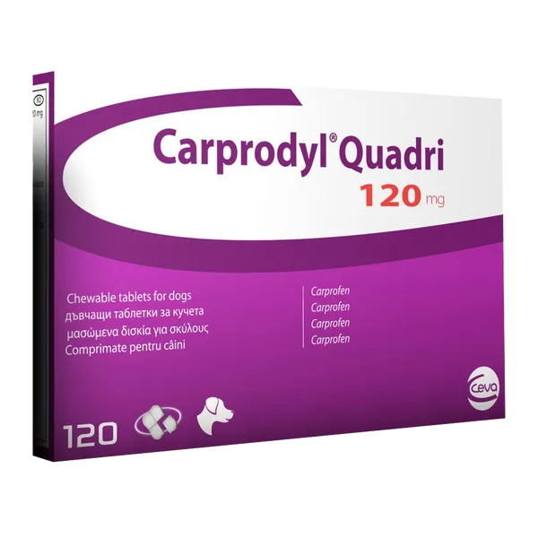 Carprodyl Quadri Tablet 120mg