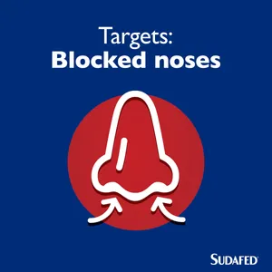 Sudafed Sinus Ease Spray 15ml