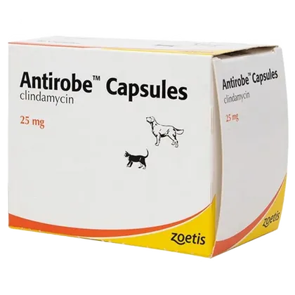 Antirobe Capsule 25mg