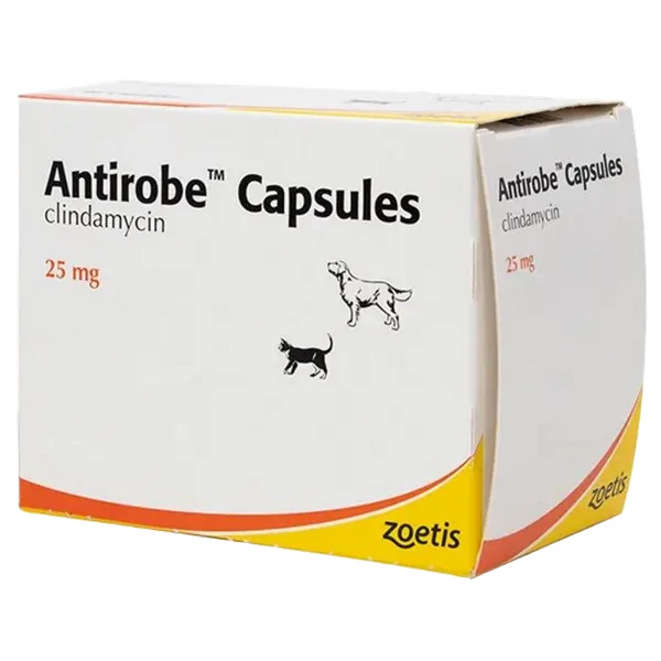 Antirobe Capsule 25mg