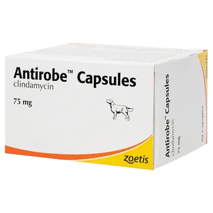 Antirobe Capsule 75mg