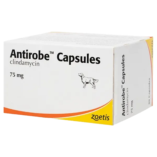 Antirobe Capsule 75mg