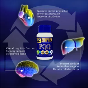 Zinplex PQQ Capsules Pack of 30