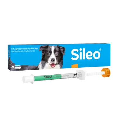 Sileo 0.1mg/ml Gel for Dogs 3ml