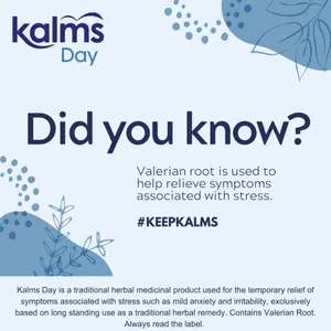 Kalms Day Tablets Pack of 168