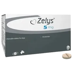 Zelys Chewable Tablet 5mg