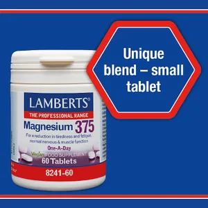 Lamberts Magnesium 375 Tablets Pack of 180