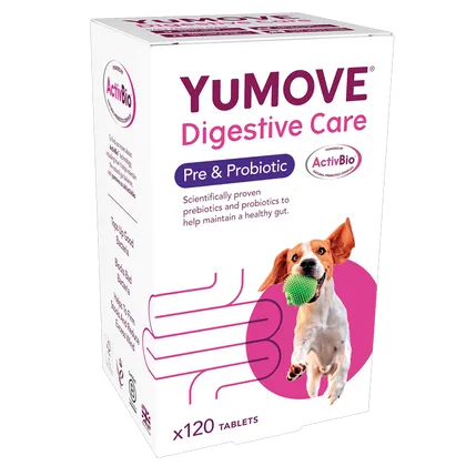 YuMOVE Digestive Care Pre & Probiotic for Dogs Tablets Pack of 120