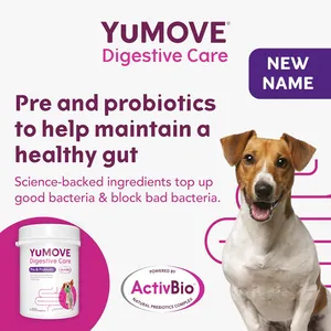YuMOVE Digestive Care Pre & Probiotic for Dogs Tablets Pack of 300
