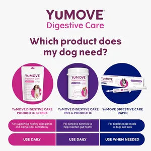 YuMOVE Digestive Care Pre & Probiotic for Dogs Tablets Pack of 300