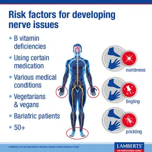 Lamberts Neuro-Guard Tablets Pack of 60