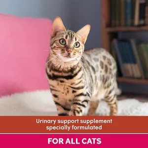 YuMOVE Urinary Care for Cats Capsules Pack of 30