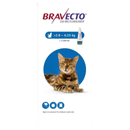 Bravecto 250mg Spot-On Solution for Cats 2.8 – 6.25kg (Single Dose)