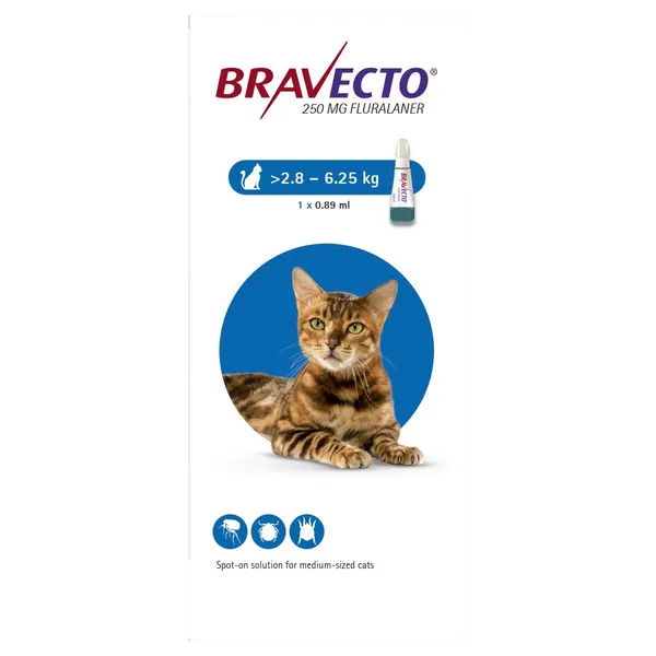 Bravecto 250mg Spot-On Solution for Cats 2.8 – 6.25kg (Single Dose)