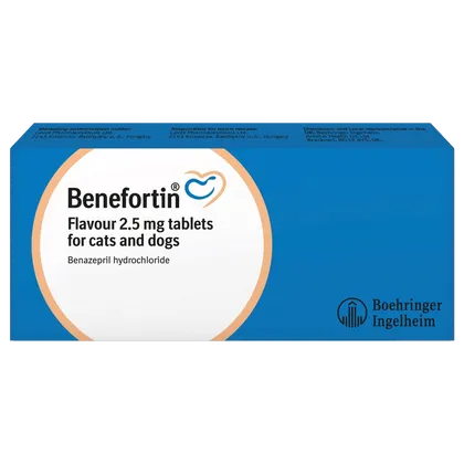 Benefortin Flavour Tablet 2.5mg
