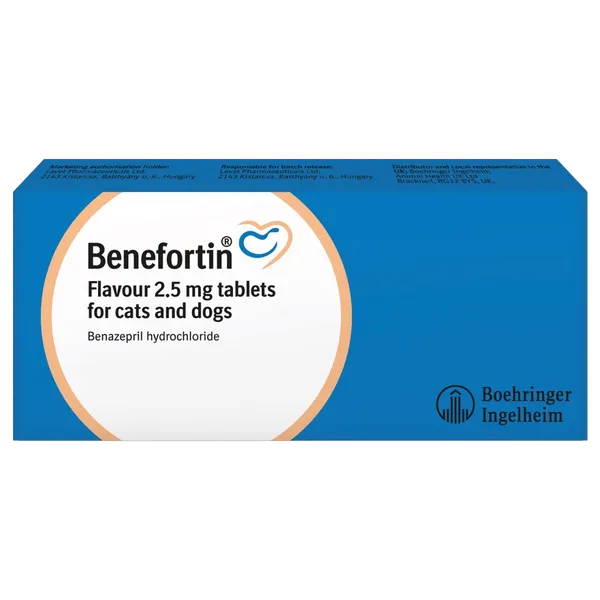 Benefortin Flavour Tablet 2.5mg