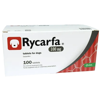 Rycarfa Flavoured Tablet 100mg