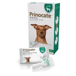 Prinocate Spot-on-Solution Small Dog 40/10mg (<4kg) Pack of 3