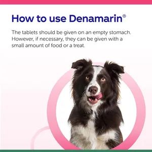Denamarin Advanced Chewable Tablets for Dogs Over 10kg Pack of 30