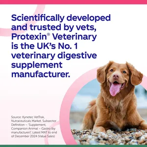 Denamarin Advanced Chewable Tablets for Dogs Over 10kg Pack of 30