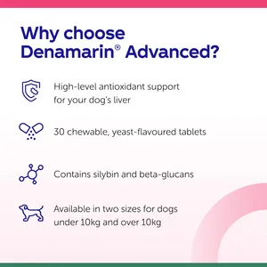 Denamarin Advanced Chewable Tablets for Dogs Over 10kg Pack of 30