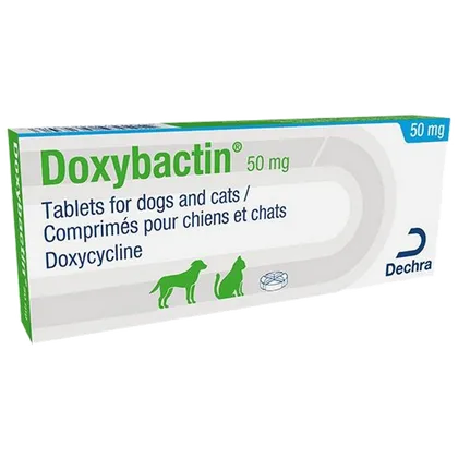 Doxybactin Tablet 50mg