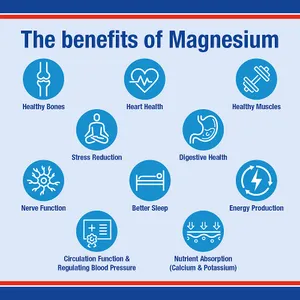 Lamberts Magnesium 375 Tablets Pack of 60